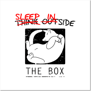 Sleep Inside the Box Posters and Art